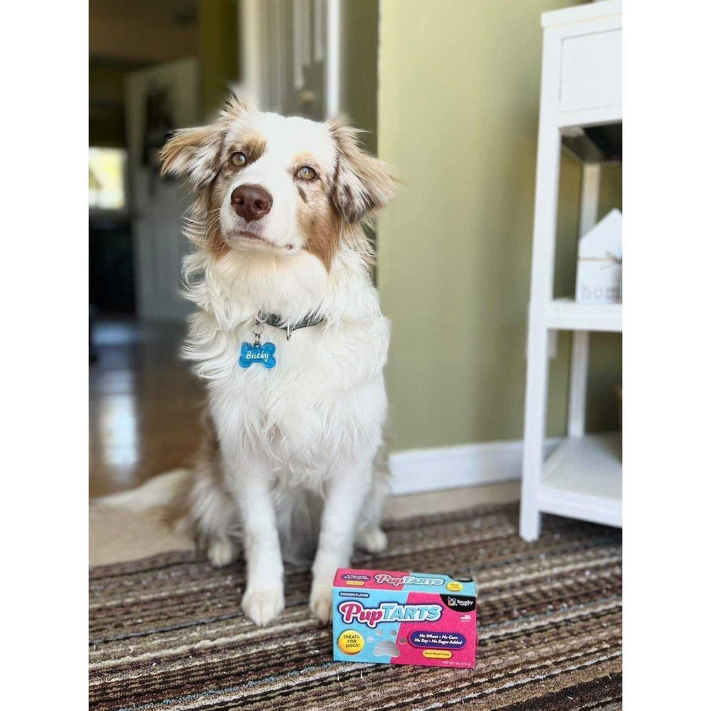 Dog Treats R112772