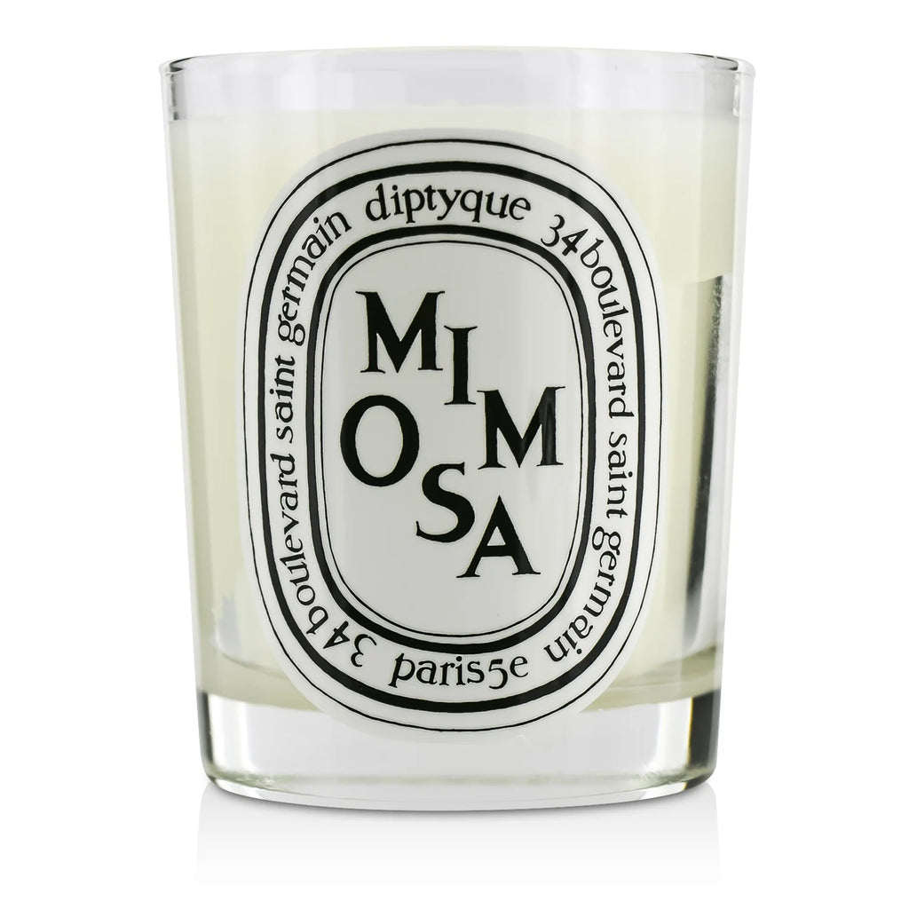 Scented Candle 190g V318303