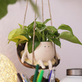 Hanging Swing Chair Planter Pot Smile Face Plant Pot for Indoor Outdoor Plants Cute Head Flower Pots K769370