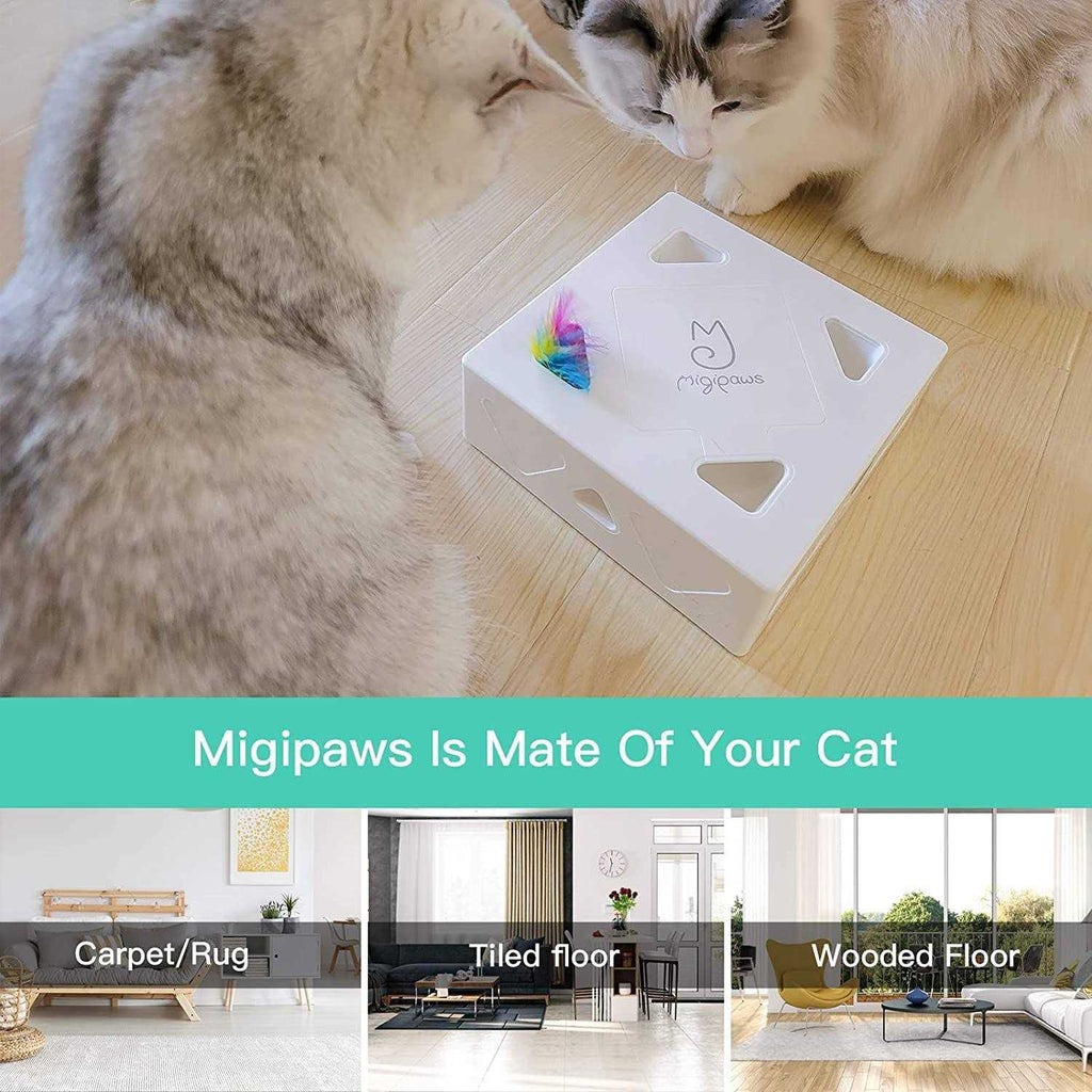 Interactive Automatic Cat Toy N8416