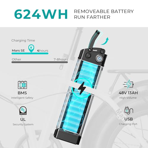 20" Electric Bike with 1000W Peak Motor, 624WH Removable Battery, Folding Fat Tire Bike S116323