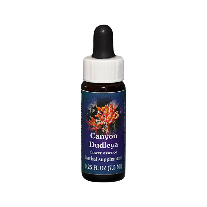 Canyon Dudleya Flower Essence 7.5ml G69359