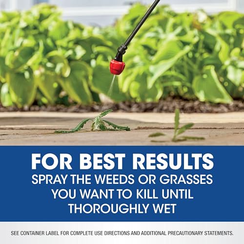 0.5 gal. Weed & Grass Killer R7800