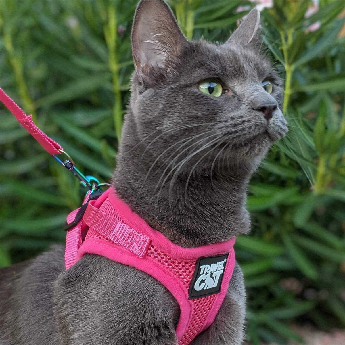 Reflective Cat & Kitten Harness and Leash B365203
