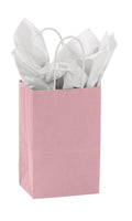 Small Pink Paper Shopping Bags - Case of 100 Y680507