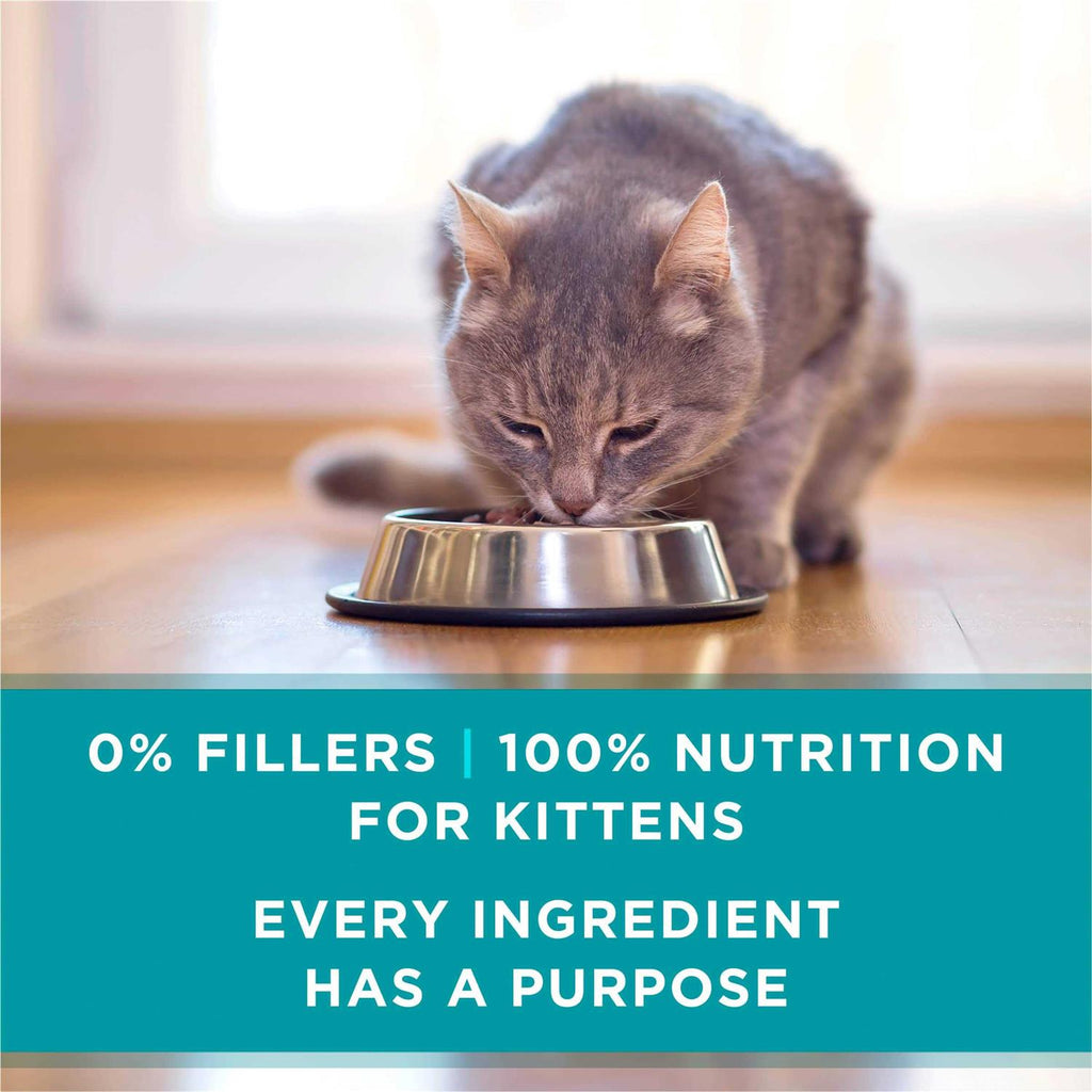 Chicken & Salmon Pate Wet Cat Food O101