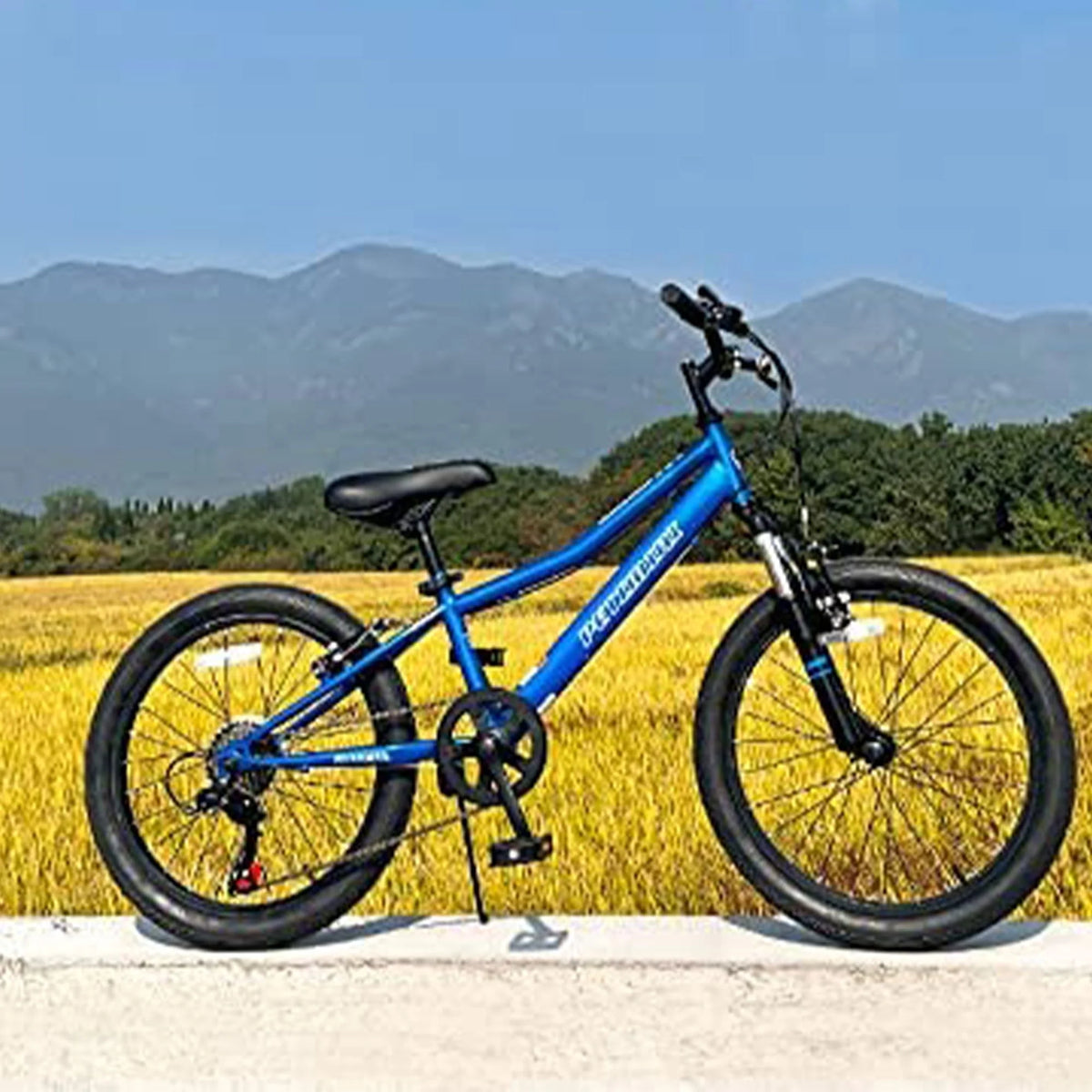 20 Inch 6 Speed Kids Mountain Bike Blue W497