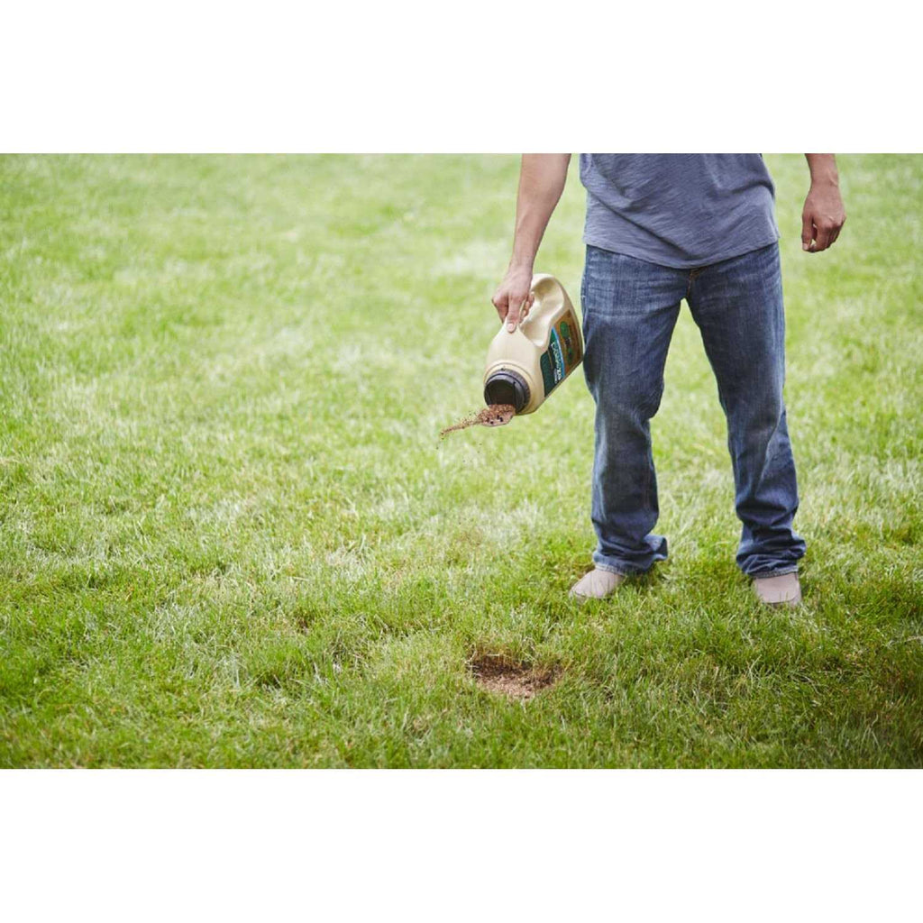 Dog Spot Repair I78439