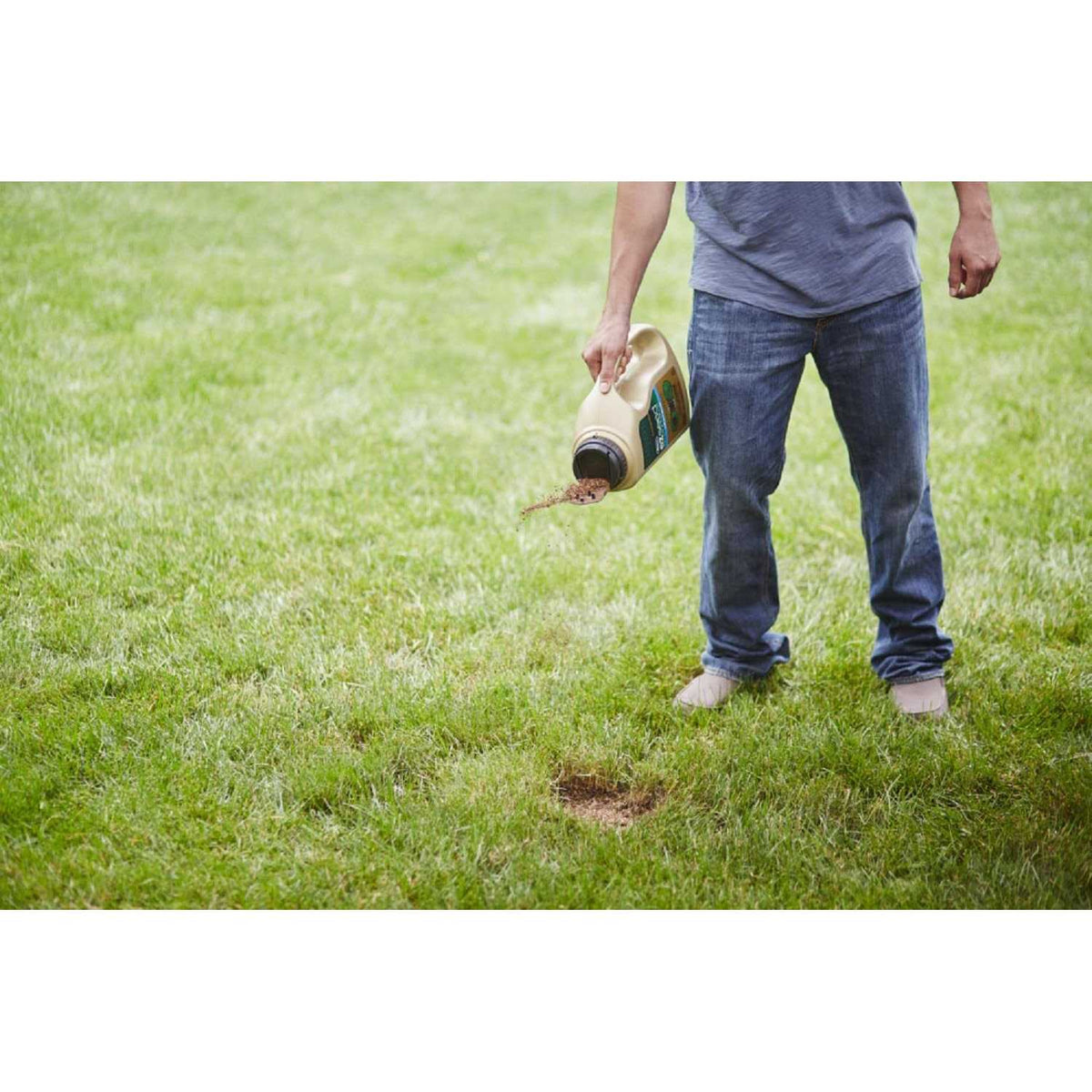 Dog Spot Repair I78439
