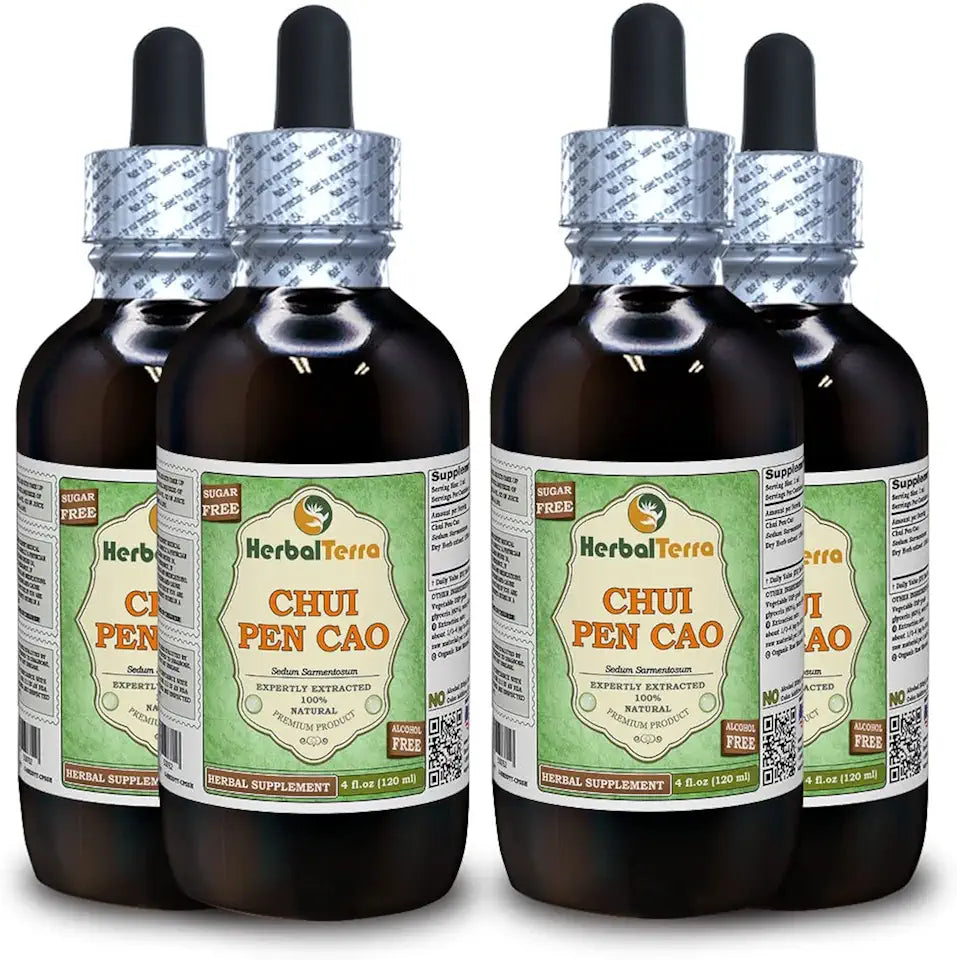 Sedum Sarmentosum Dried Herb Alcohol-Free Liquid Extract 4x4 fl.oz W467