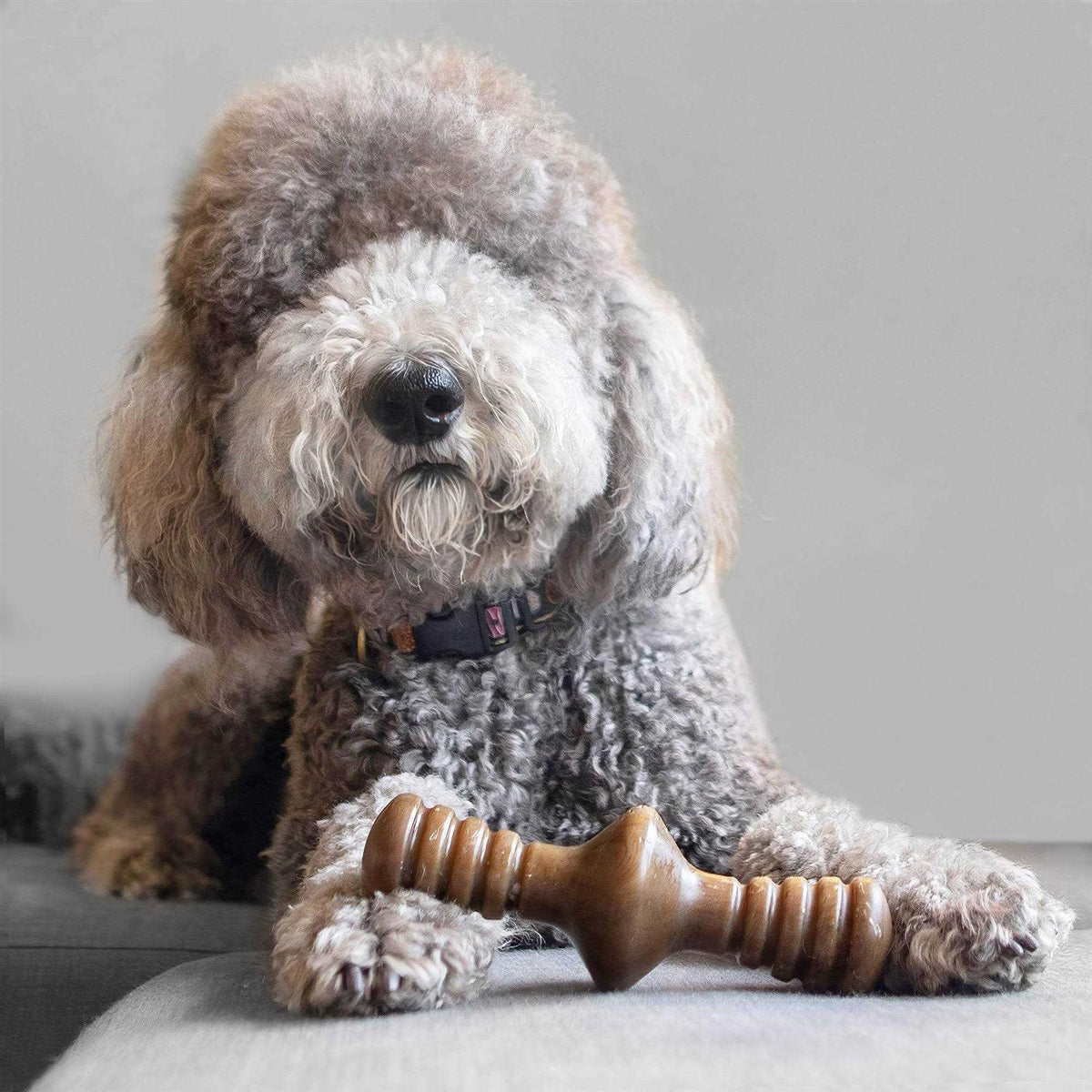 Chicken Dog Chew Toy D113475