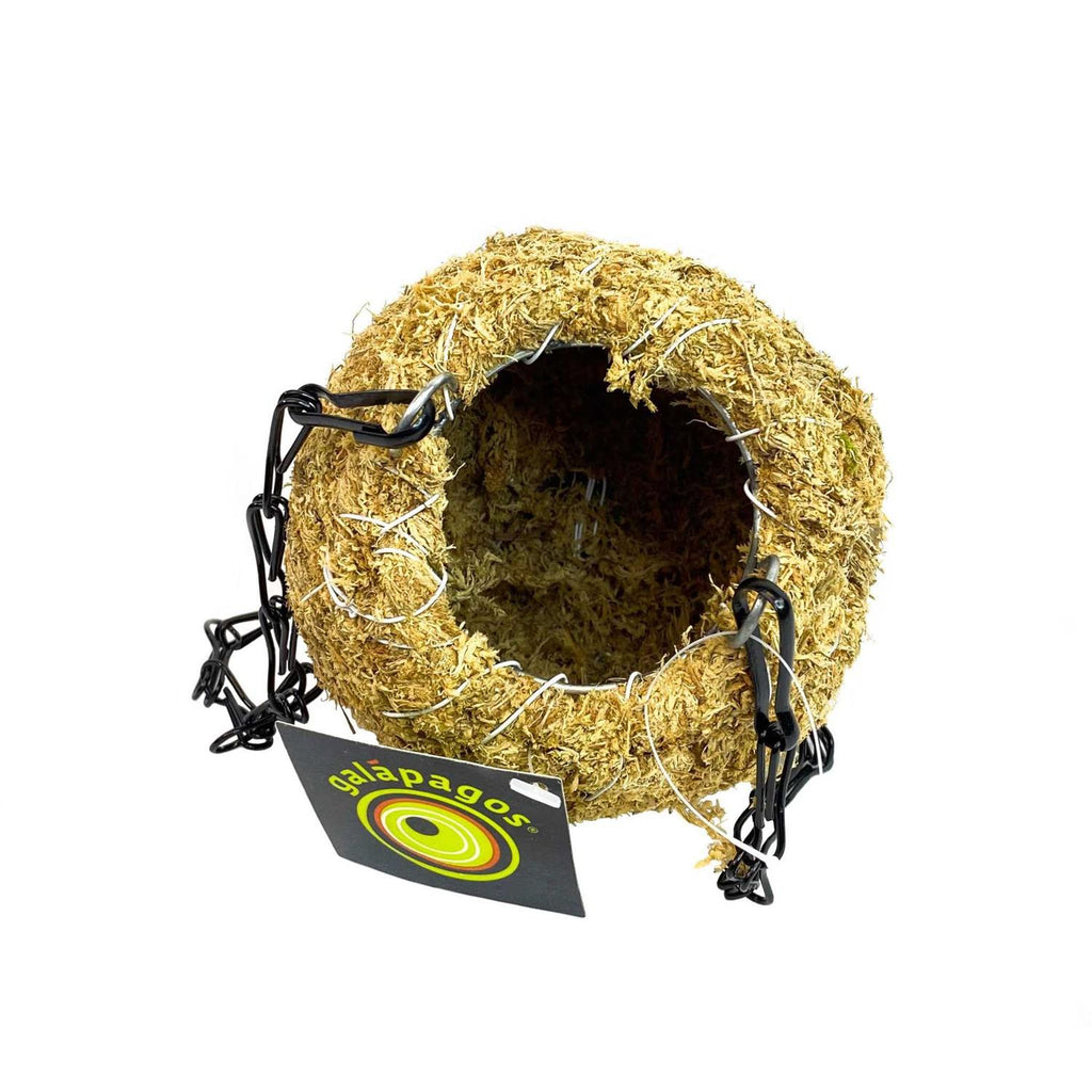 Pet Supplies P177