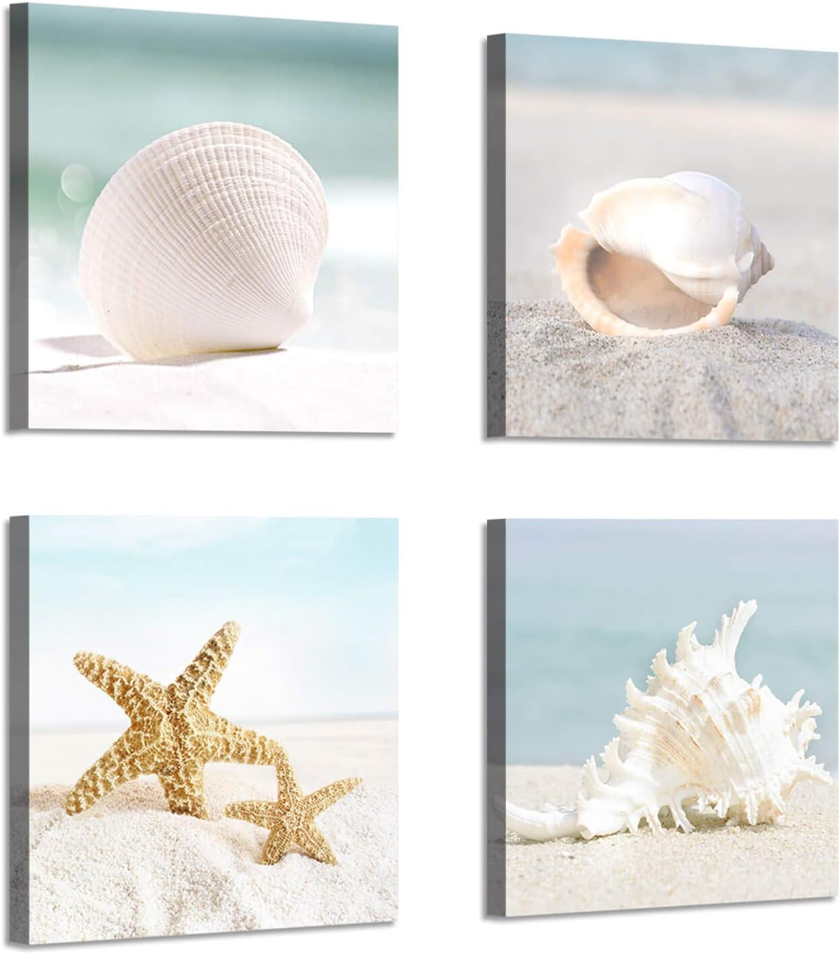 Starfish & Seashells Canvas Wall Art, 4 Pcs, Multi-Sized E231686
