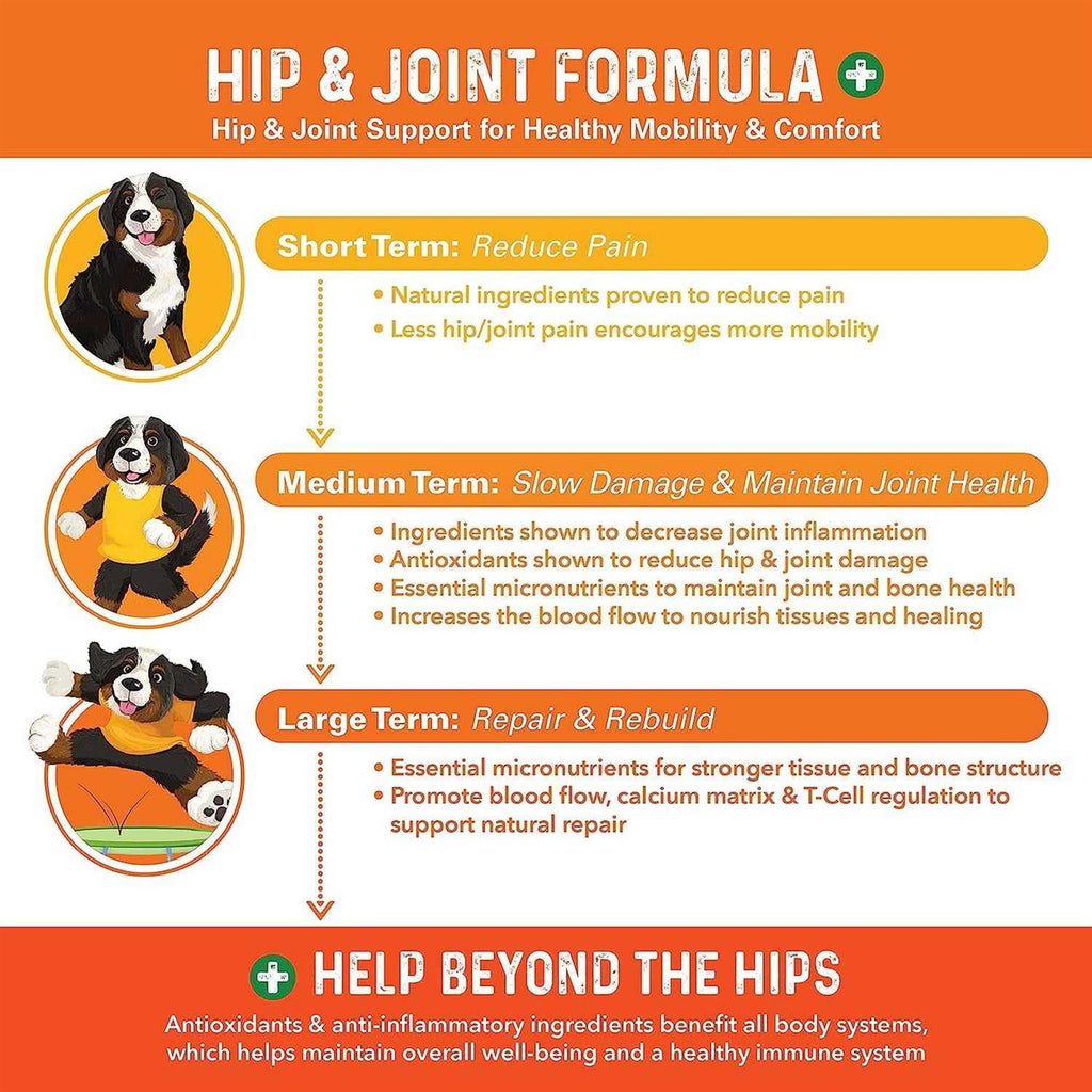 Dog Hip and Joint Supplement Q72124