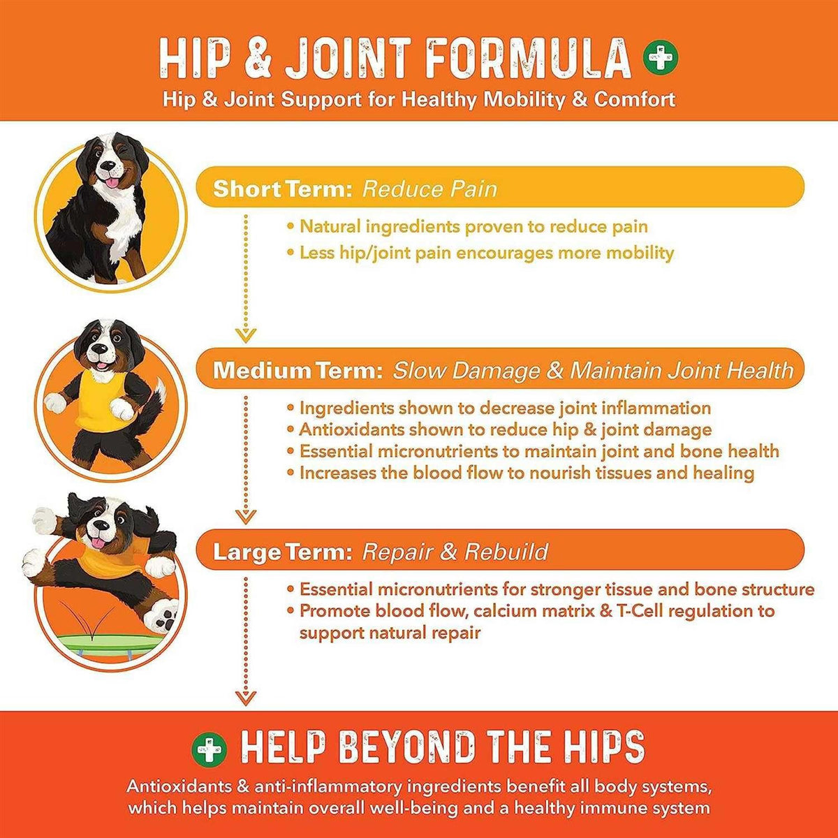 Dog Hip and Joint Supplement Q72124
