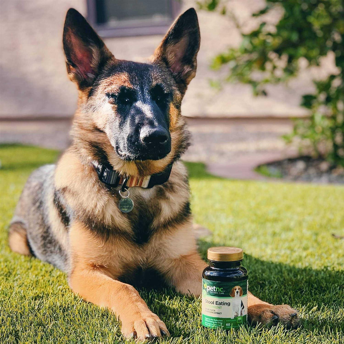 Stool Eating Deterrent Chewables for Dogs O45340