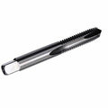 #1-64 High Speed Steel 2 Flute Spiral Point Tap (Pack of 12) G66730