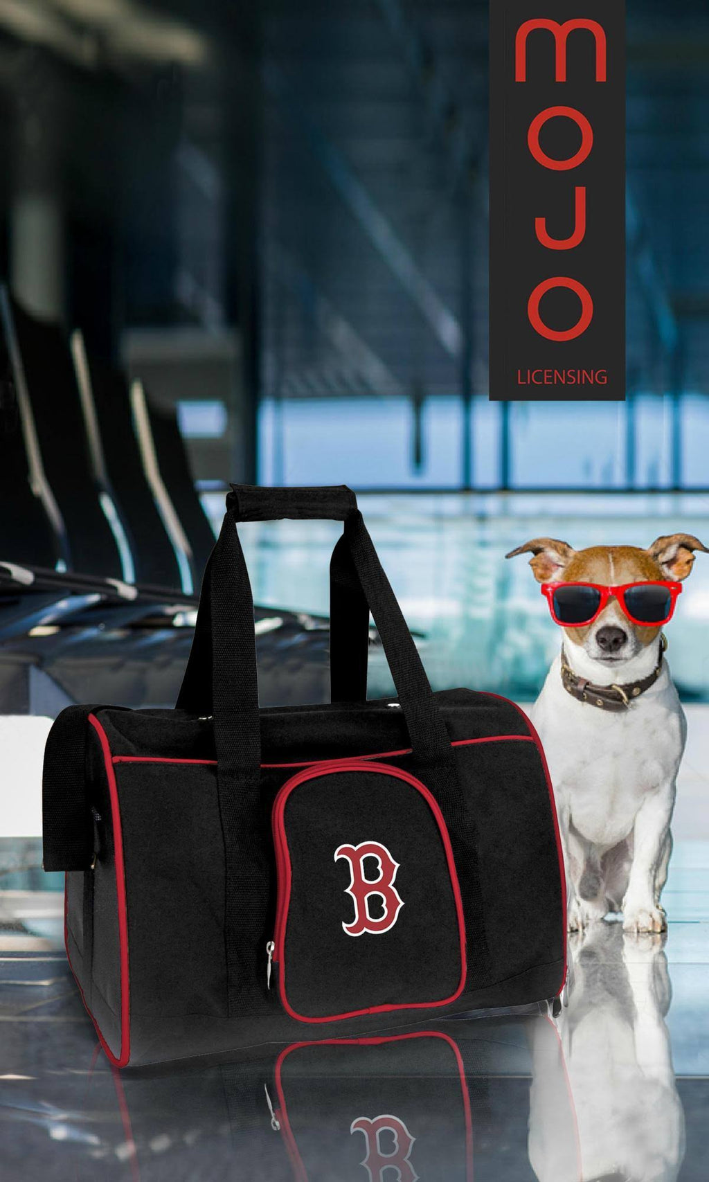 Premium Pet Carrier O3254
