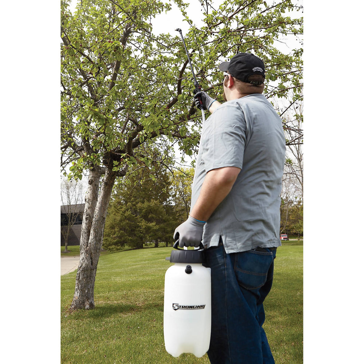 2 Gal Capacity 45 PSI Sprayer D685467