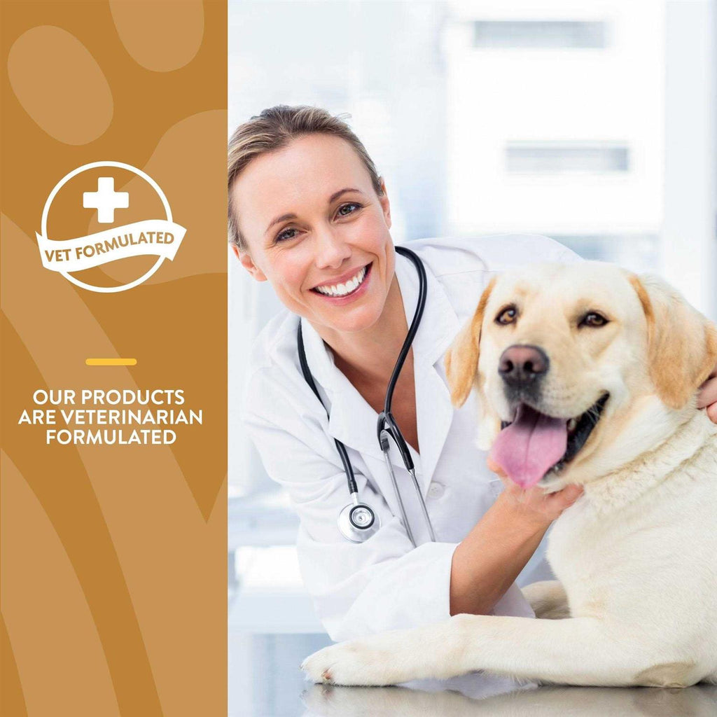 Omega Gold Plus Salmon Oil Soft Chews Z461244