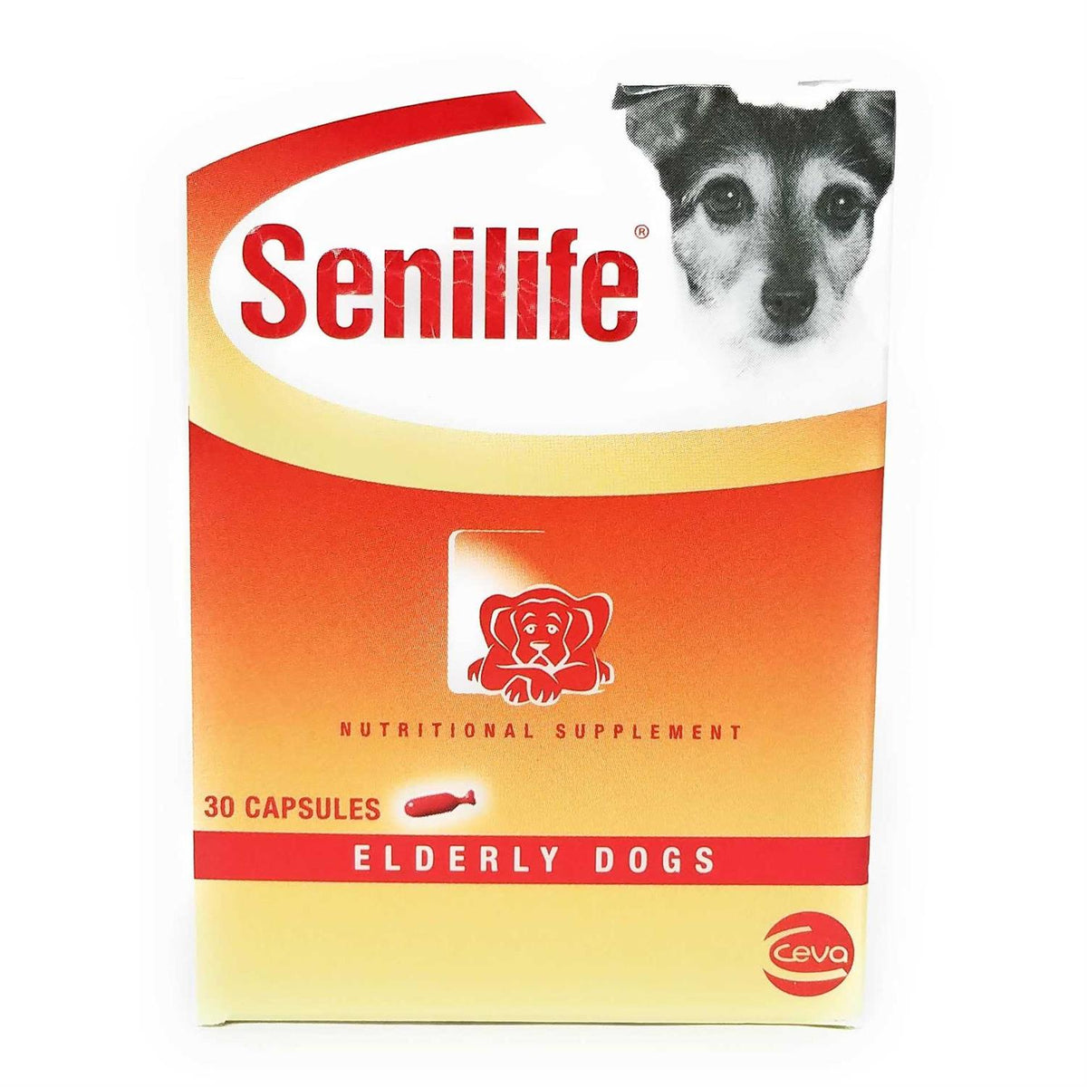 Nutritional Supplement for Elderly Dogs S507