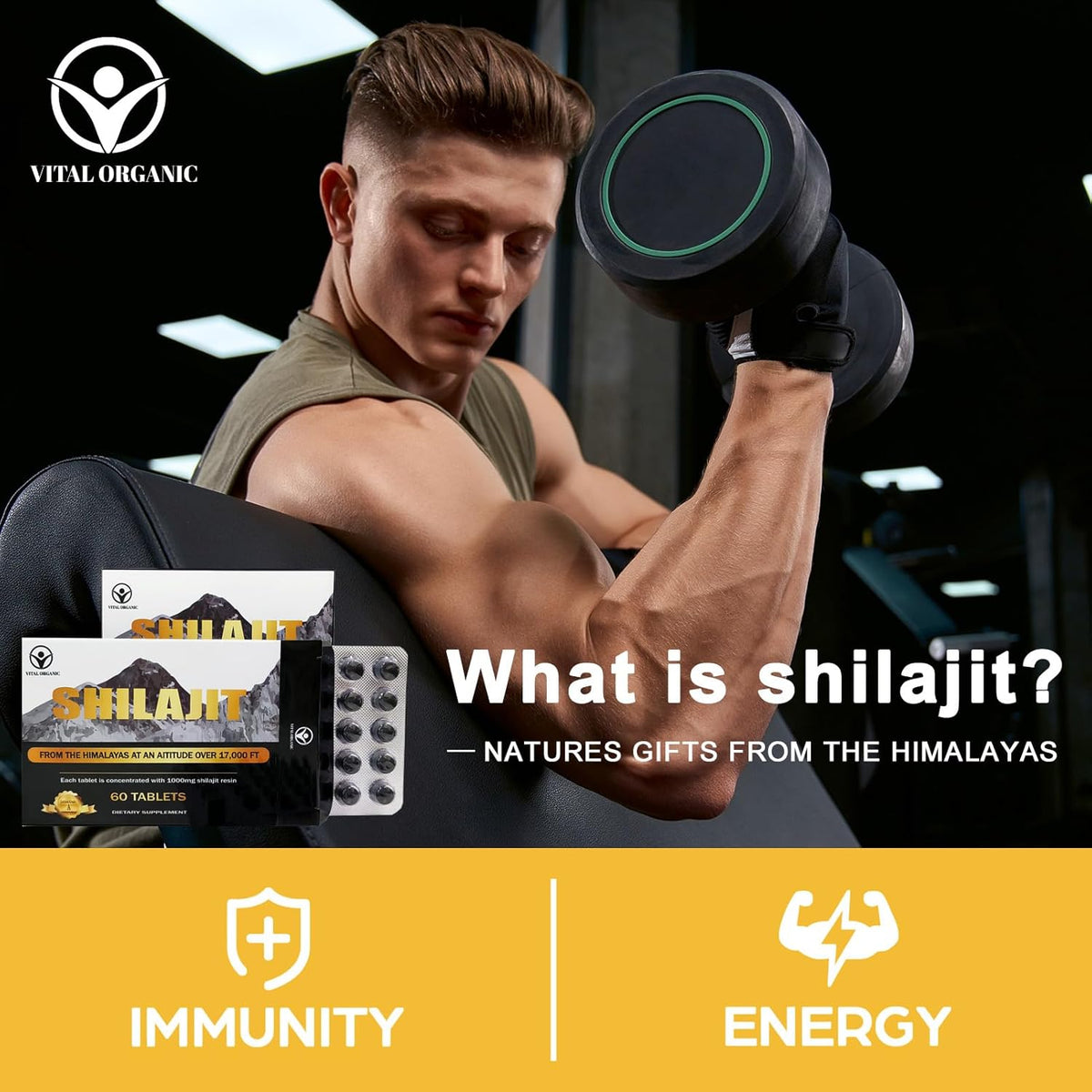 120 Shilajit Tablets, 1000mg each H100