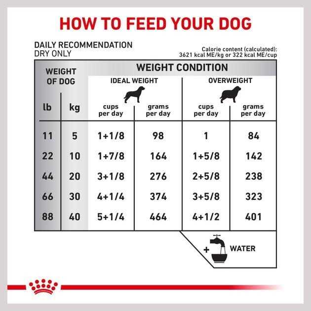 Veterinary Diet Skin Support Dry Dog Food Y302