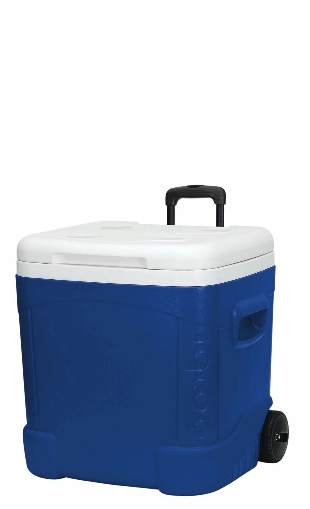 60-Quart Roller Cooler N375059