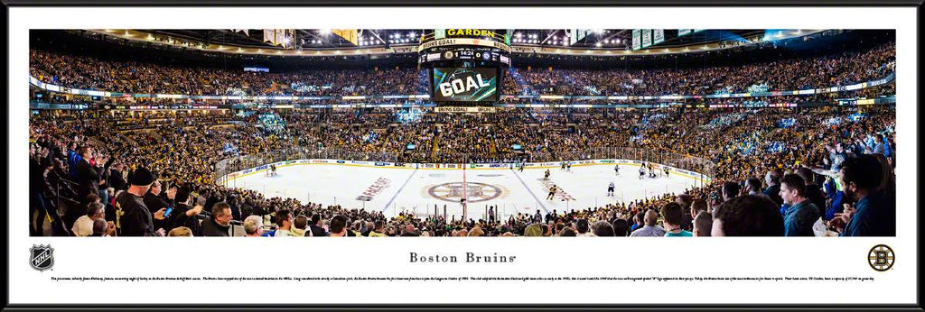 Framed Center Ice U959397