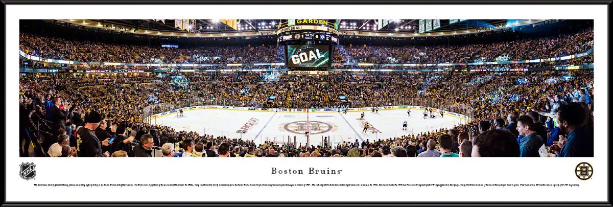 Framed Center Ice U959397