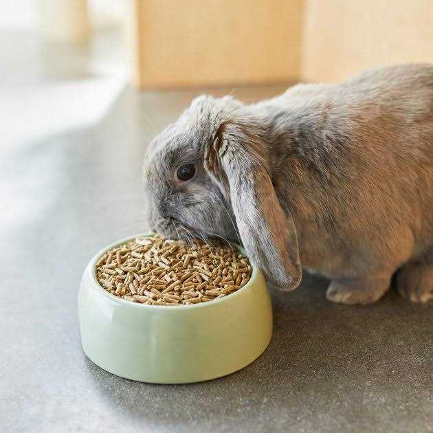 Timothy Based Rabbit Food L748