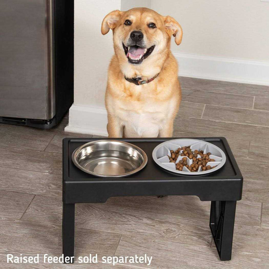 Slow Feeder Dog Bowl with Feeder Holes H73474