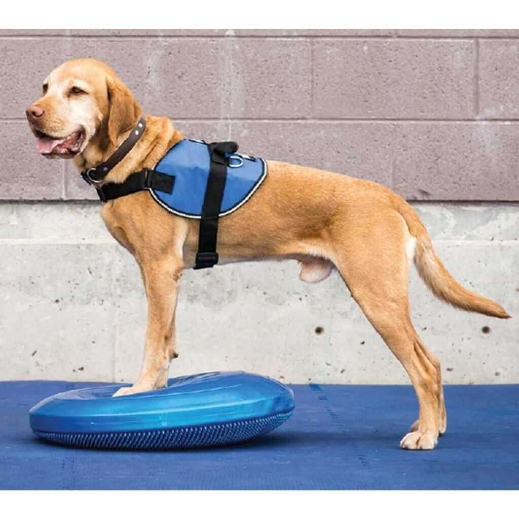 Balance Disc N8969