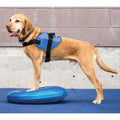 Balance Disc N8969