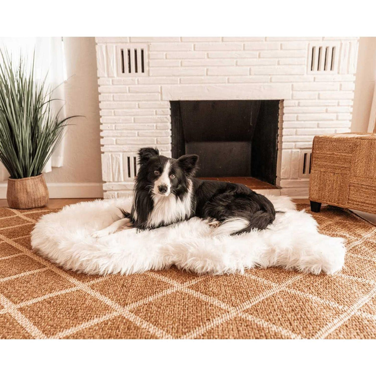Faux Fur Orthopedic Dog Bed H550895