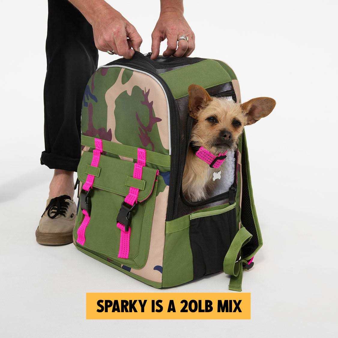 Airline-Compliant Pet Backpack Carrier N494