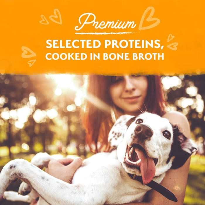 Natural Balance Limited Ingredient Stew Wet Dog Food E363638