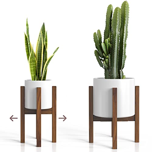 Mid Century Solid Wood Acacia Plant Stand F37532