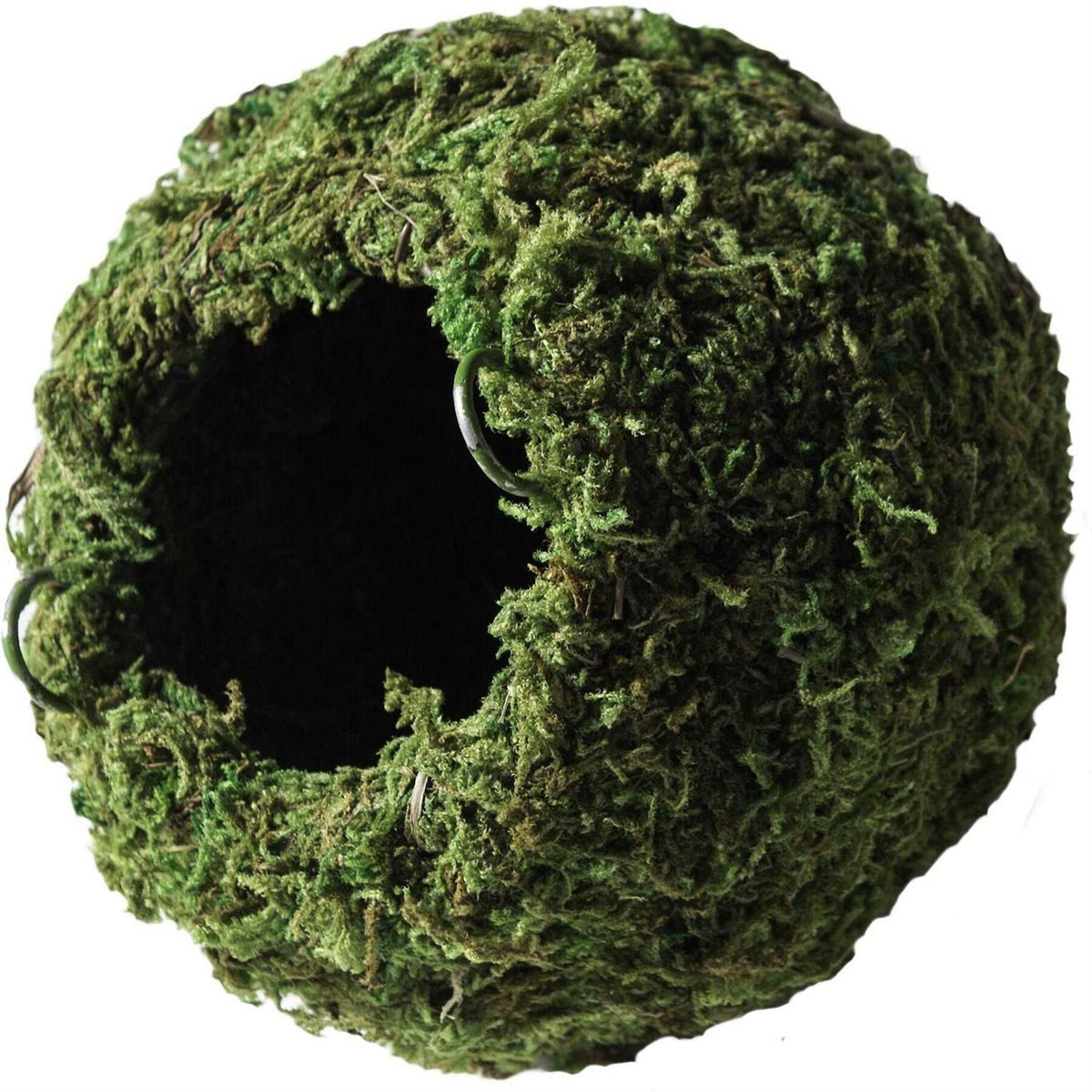 Pet Supplies P177