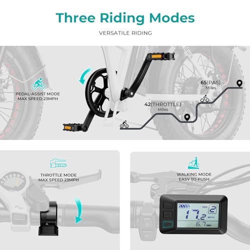 20" Electric Bike with 1000W Peak Motor, 624WH Removable Battery, Folding Fat Tire Bike S116323