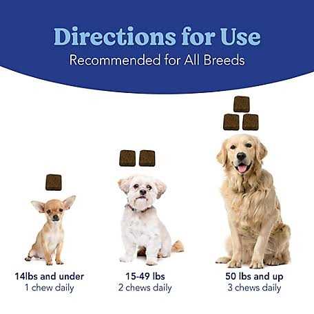 Natural Soft Chews for Dogs G672523