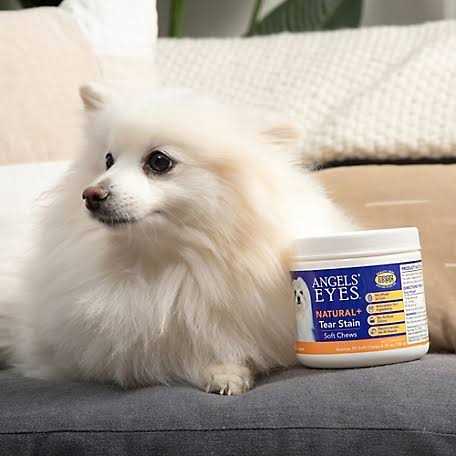 Natural Soft Chews for Dogs G672523