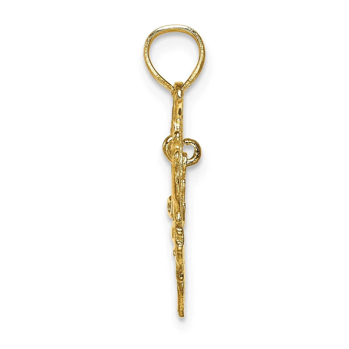 14K Yellow Gold Polished Heart Pendant Charm with 10K Yellow Gold Rope Chain Necklace 18'' E9782