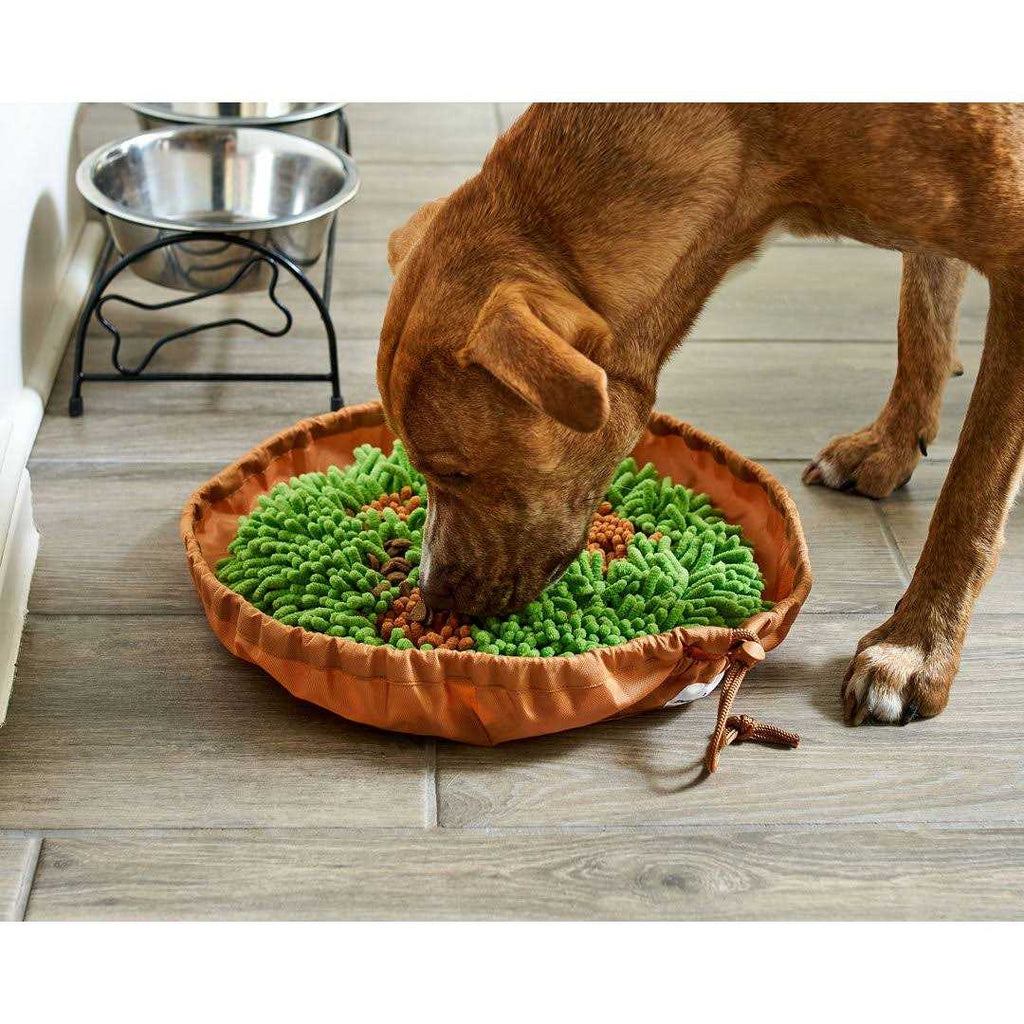 Snuffle Mat & Slow Feeder Dog Bowl I990