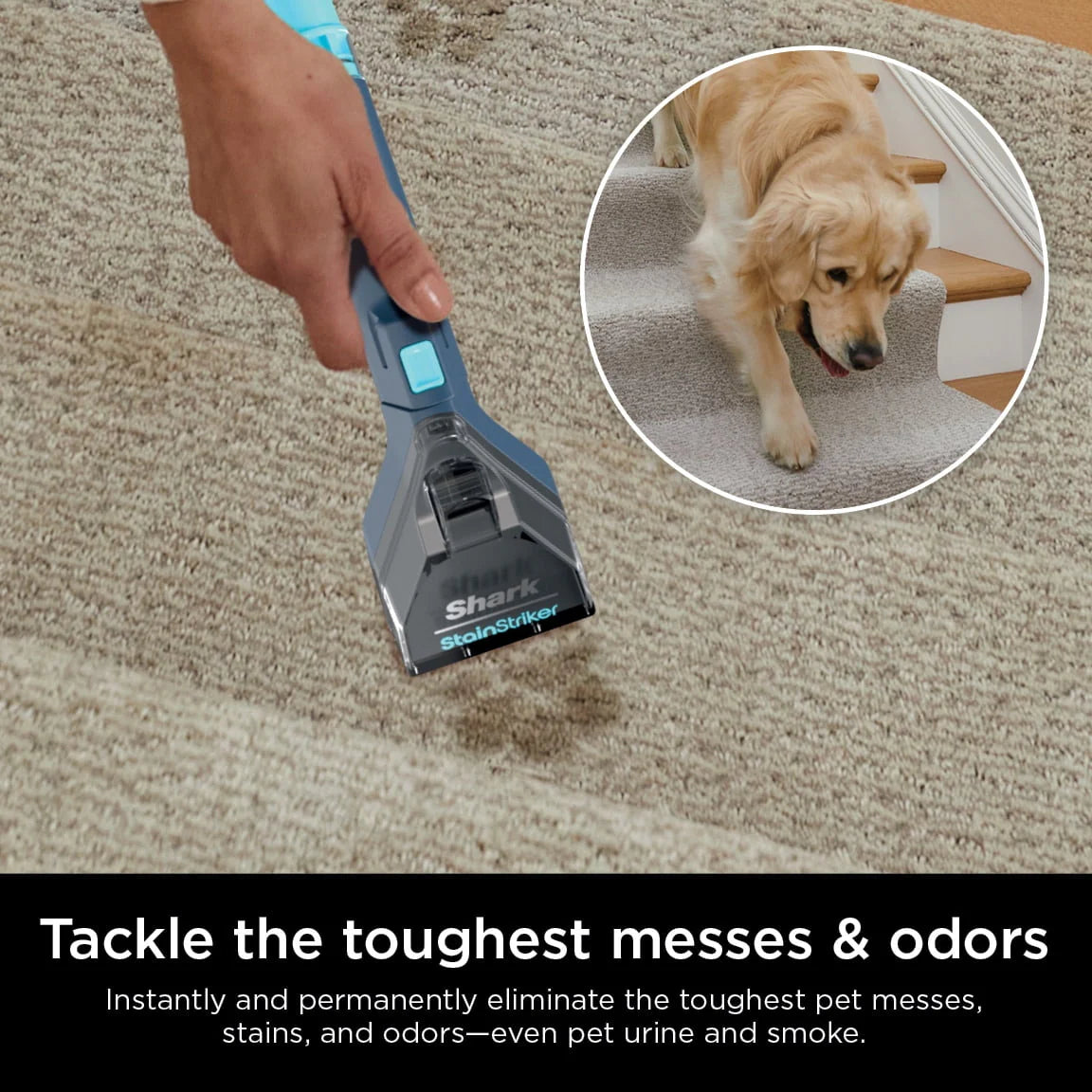 Portable Carpet & Upholstery Cleaner T9262