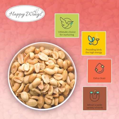 Peanuts Wild Bird Food 5 Pounds O7590
