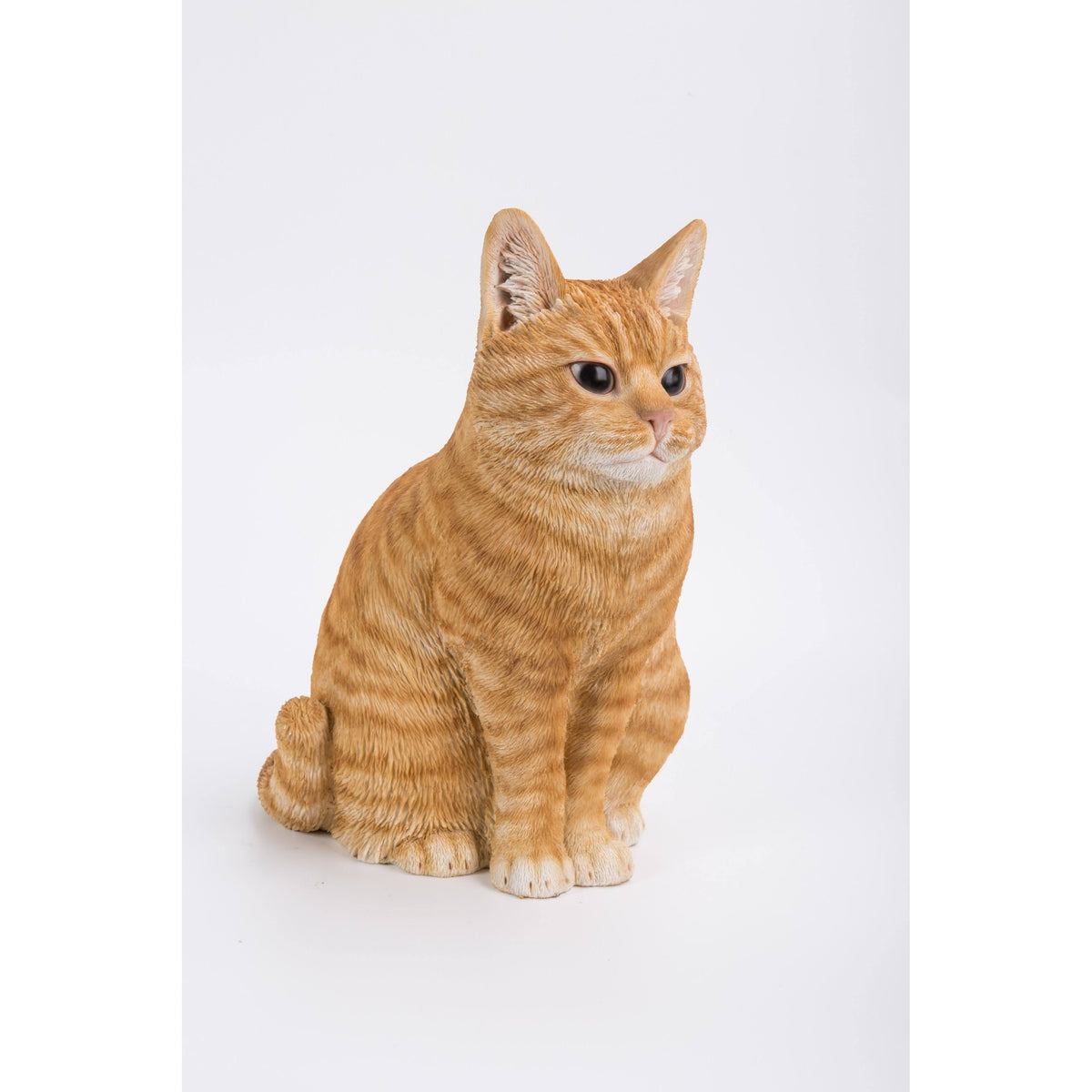 Orange Tabby Cat Sitting E52278