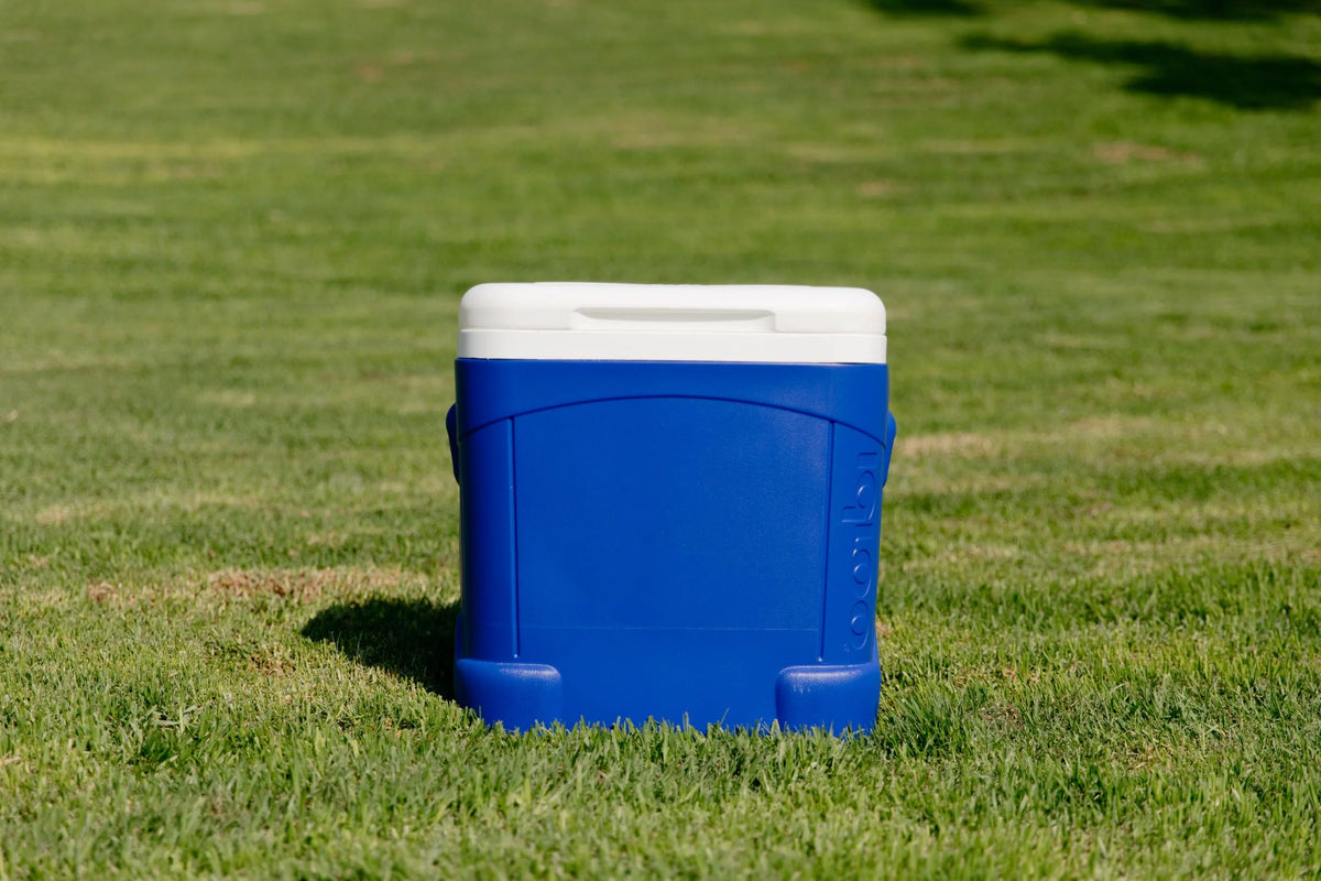 60-Quart Roller Cooler N375059
