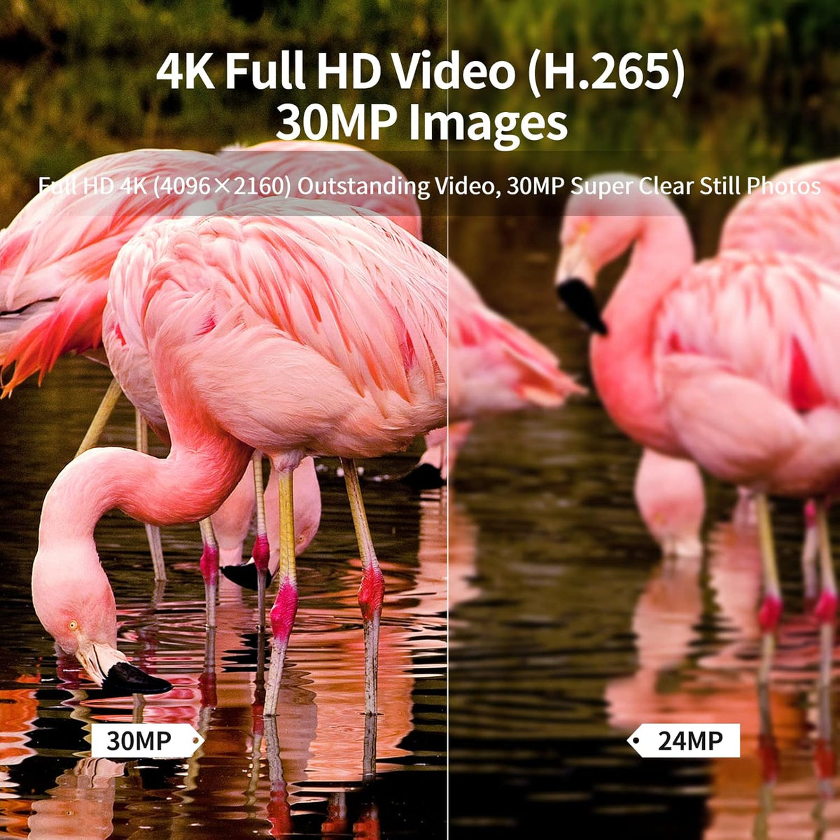 4K 30MP Night Vision Motion Activated Waterproof Trail Camera F365