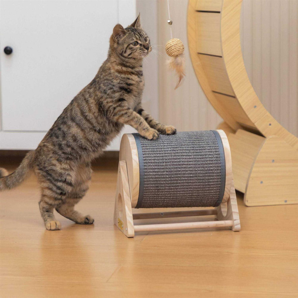 Cat Scratching Post M277741